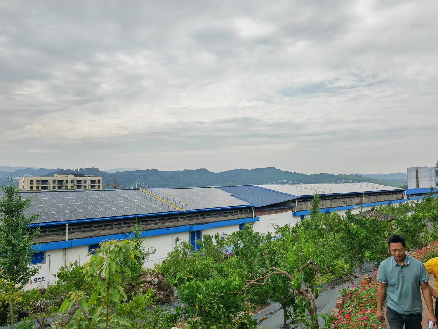 Development prospects and advantages of distributed photovoltaics